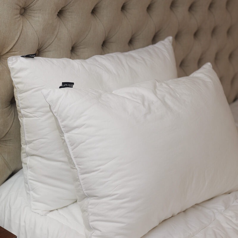 Pillow Core (set of two)